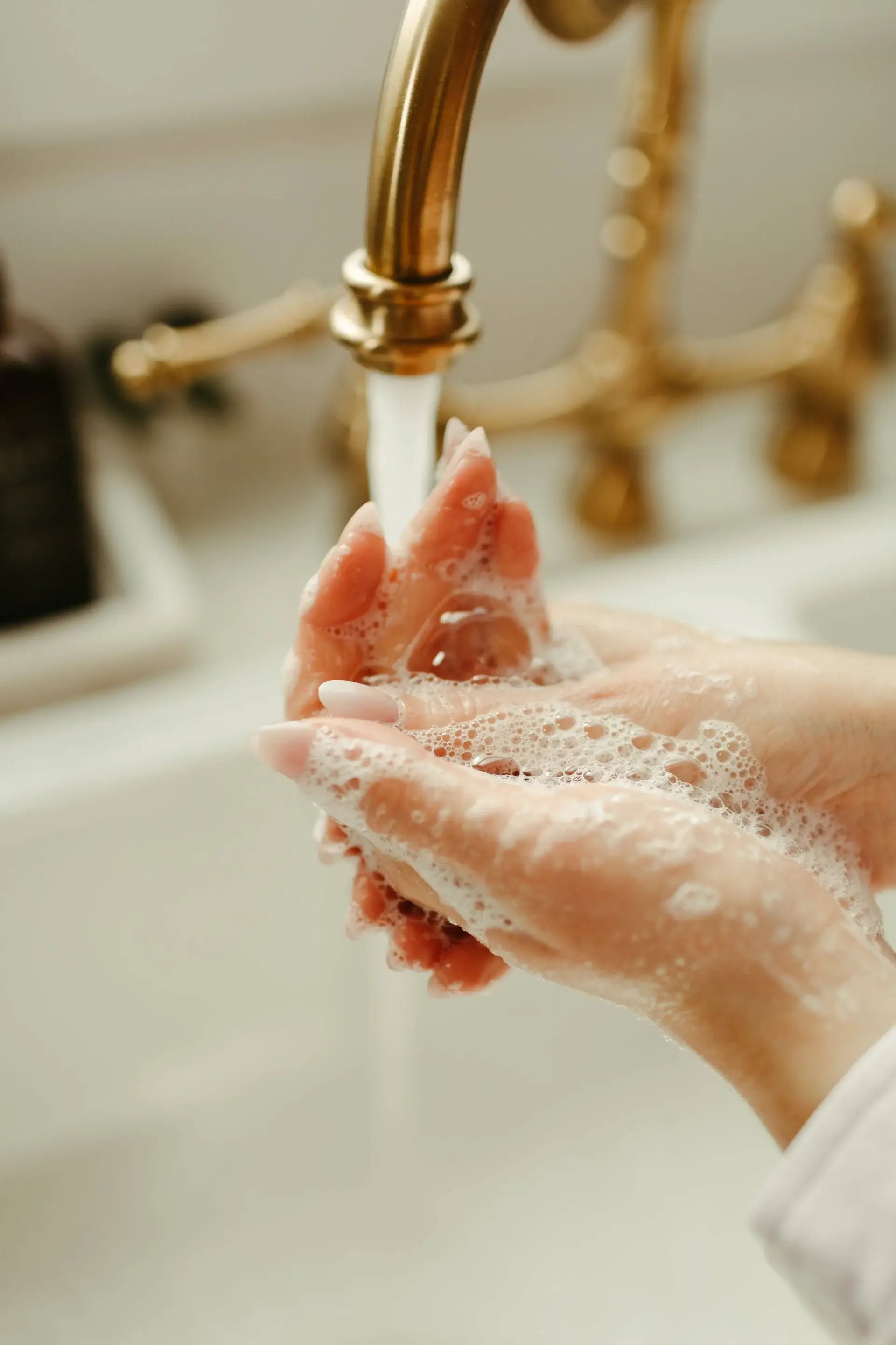 Savon liquide pour les mains | Pin + écorce de cèdre