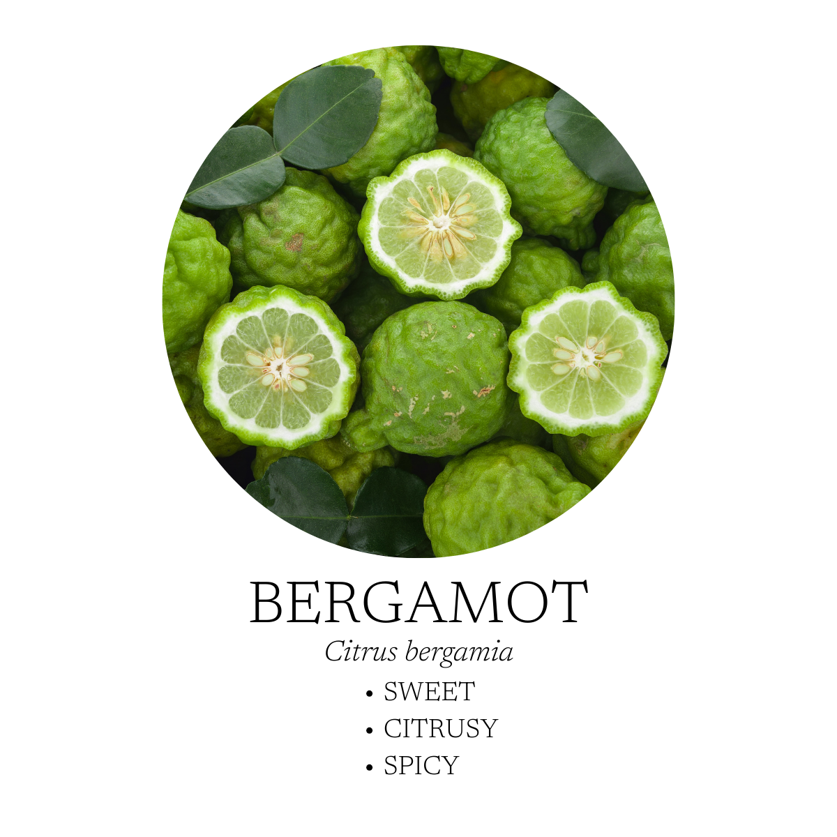 Mélange d'huiles essentielles Good Morning 10 ml