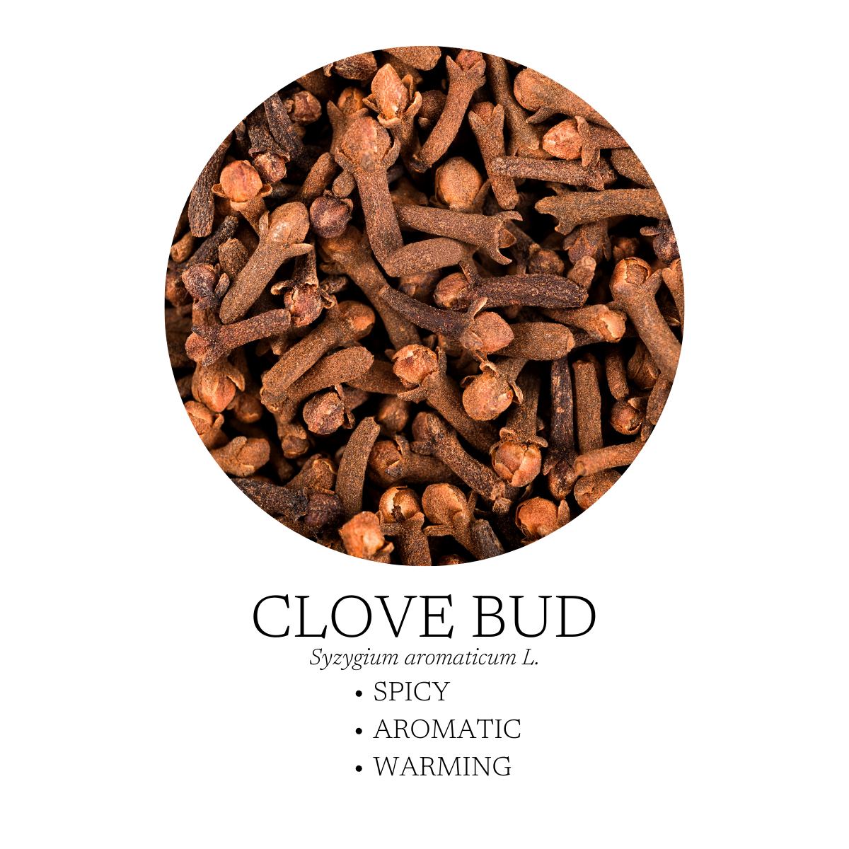 Mélange d'huiles essentielles Fireside 10 ml